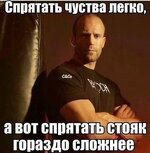 9736931.jpg