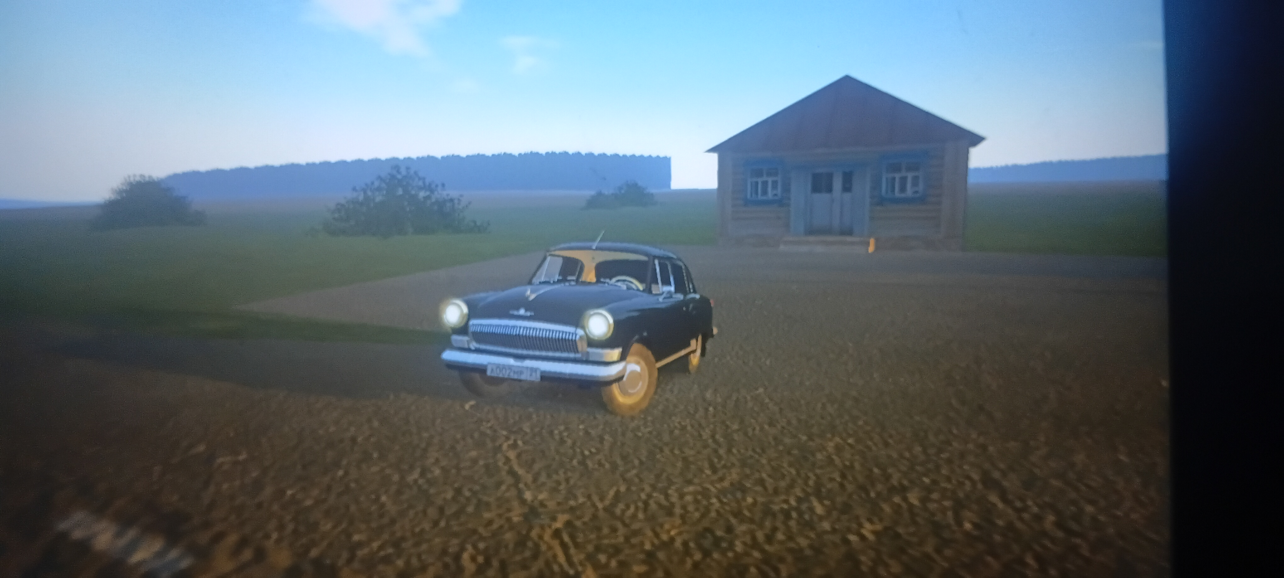 17369.jpg